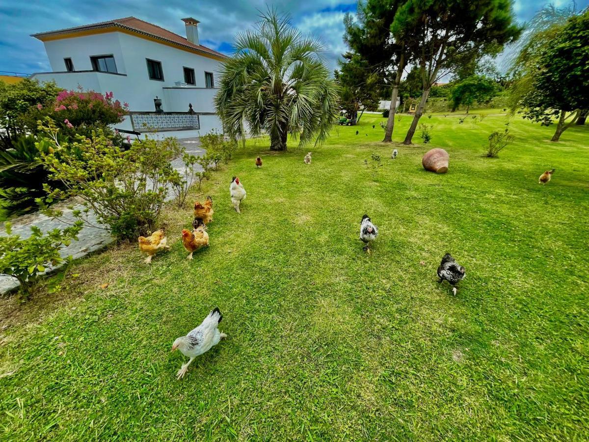 Solar Pontes Guest House Capelas Bagian luar foto